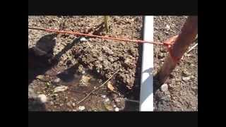 Watering A Traditional Garden With PVC Pipe [upl. by Fougere]