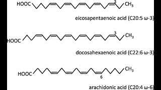 structures of Polyunsaturated Fatty acid Linoleic Alphalinolenic Eicosapentaenoic Docosahexaenoic [upl. by Aitercul]