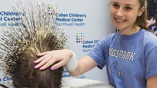 Watch Exotic Animals Cheer Up Sick Kids at Childrens Hospital [upl. by Obed]