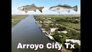 Arroyo City Tx The Snook came out to play [upl. by Iy]