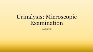 Urinalysis Basics Microscopic Examination of Urine [upl. by Ziul]