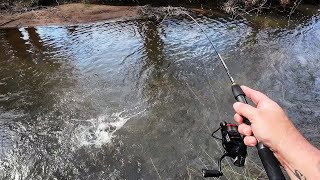 Exciting Trout Fishing With A Special Guest A Murray Cod [upl. by Ttebroc]