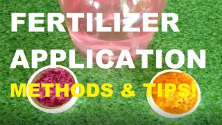 FERTILIZER APPLICATION  GARDENING PHILIPPINES [upl. by Droflim]