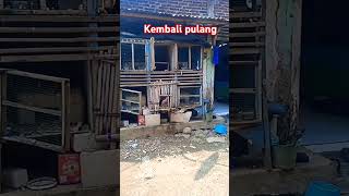 KEMBALI PULANG  BURUNG DARA [upl. by Caputo320]