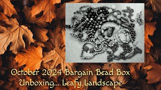 Unboxing October 2024 Bargain Bead BoxLeafy Landscape [upl. by Ahseia]