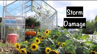 Storm Damage On The Allotment Plot ALLOTMENT LIFE VLOG 37 [upl. by Branden]