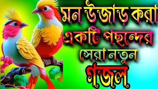 মন উজাড় করার একটি পছন্দের গজল [upl. by Lymn]