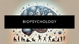 Understanding Biopsychology [upl. by Eolc420]