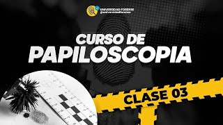 PAPILOSCOPIA FORENSE  CLASE 03 [upl. by Eimam181]