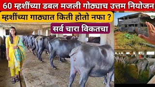 सर्व चारा विकतचा घेऊन कस चालत म्हशींच्या गोठ्याच नियोजन   Buffalo dairy farm in maharashtra [upl. by Janos]