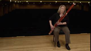 What does a bassoon sound like Ode to Joy [upl. by Drusi]