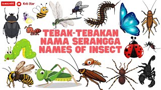 BELAJAR NAMA SERANGGA DALAM BAHASA INGGRIS  NAMES OF INSECT LEARN ANIMALS NAMA BINATANG NAMA HEWAN [upl. by Erastes208]