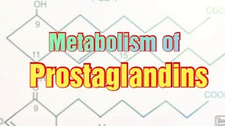 Metabolism of Prostaglandins Biochemistry  Functions of Prostaglandins [upl. by Atikihc]