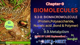 Biomolecules part 2 class 11 theory from NCERT in Bengali Harunbiozone [upl. by Seira]