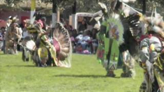 FORT DUSHANE POWWOW 2009 MENS TRADITIONAL  2 SONGS [upl. by Dahij450]