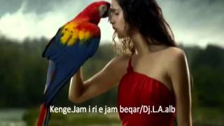 Kenge Jam i ri e jam beqar DjLAalb [upl. by Hurlbut]