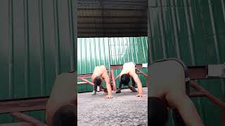 khaotic push ups pushOnTheJob OneRep christianGodin [upl. by Ytrebil]