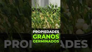 Granos Germinados para una Dieta Nutritiva y Deliciosa [upl. by Brew]