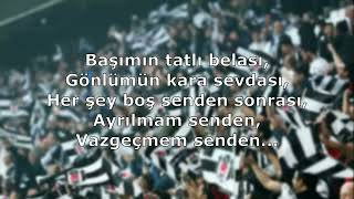 Beşiktaş Tezahüratları  Başımın Tatlı Belası [upl. by Harrow]