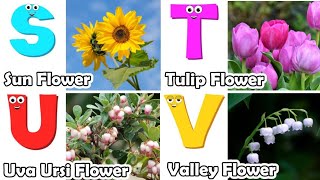 Flowers ABC Song  Flowers Alphabet Song  Phonics for Kids  Alphabet Letters [upl. by Yla]