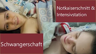 Die Küken sind geschlüpft 🐣🐣 Notkaiserschnitt amp volle Intensivstation zwillinge [upl. by Nogam]