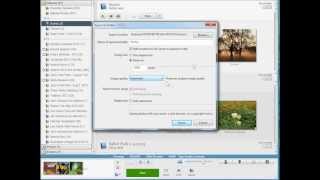 Picasa  Exporting Photos [upl. by Sirovat]