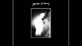 Janitor Of Lunacy ‎– Crimes On The Dancefloor Full album [upl. by Panthia116]