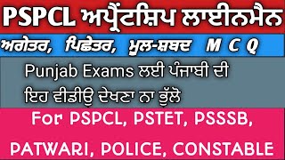 ਅਗੇਤਰ ਪਿਛੇਤਰ Agetar Pichetar MCQ for PSPCL PSTET PSSSB Punjab Exams Constable patwaripolice [upl. by Aruasi437]