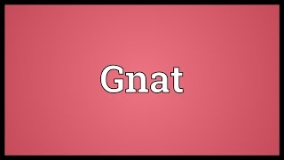 Gnat Meaning [upl. by Hannahoj]