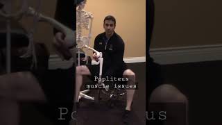 Back of Knee PainStiffness Check Popliteus Muscle [upl. by Ileyan]