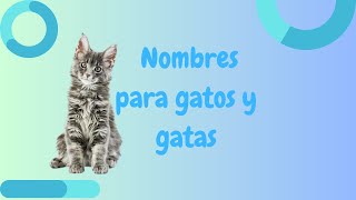 Nombres para gatos y gatas parte 1 [upl. by Niwre752]