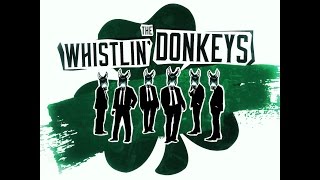 The Whistlin Donkeys  Irish Rover [upl. by Dnar497]