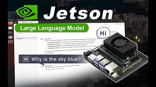 Run Large Language Model LLM on NVIDIA Jetson Development Board [upl. by Llerroj871]