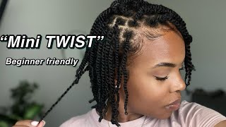 My Simple Mini Twist routine TwoStrand Twist  Natural Hair  protective styles [upl. by Delle]