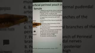 Perineal Pouches  Pelvic perineum Anatomy [upl. by Atikin]