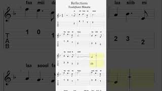 reflections toshifumihinata guitar guitartabs [upl. by Attekram]