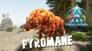 Taming A Pyromane  Ark Survival Ascended [upl. by Amapuna]