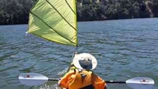 Kayak Sailing with Home made DIY Sail upwind capable  Del Valle [upl. by Ricker]