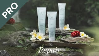 Awapuhi Wild Ginger Repair Serie [upl. by Bax898]