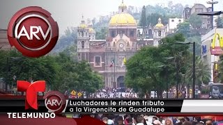 Luchadores mexicanos peregrinan por la Virgen  Al Rojo Vivo  Telemundo [upl. by Annola]