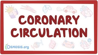 Coronary circulation  an Osmosis Preview [upl. by Anoi]