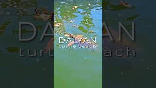 Dalyan Turkey [upl. by Aztirak]