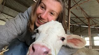 Attacher vos ceintures  24 h en immersion avec moi Vidange moteur ensilageOcéane Agricultrice [upl. by Tibold]