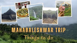 Mahabaleshwar Hill Station Trip  2 Day Travel Plan 2024  Tourist places to visit  Panchgani [upl. by Airym411]