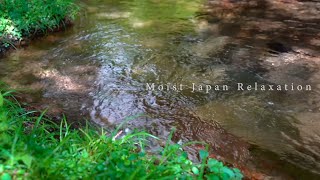 【きれいな水 やわらかい水流音】水のちょろちょろ流れる音、癒やしの3時間 ★137 [upl. by Aiet854]