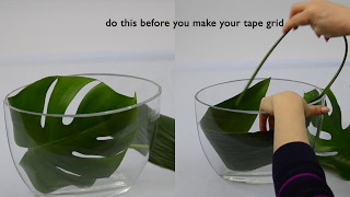 Ikebana tips by Junko 22 Its clearly creative [upl. by Trescott]