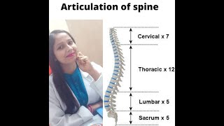 ARTICULATION OS SPINE  INTERVERTEBRAL JOINT  ZYGAPOPHYSEAL JOINT  PART 1 [upl. by Ater]