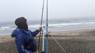 Tyn Tywyn Surf Fishing Anglesey [upl. by Nyroc909]