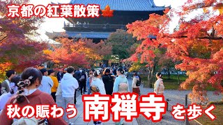 1119日京都の紅葉散策🍁観光客で賑わう南禅寺を歩く【4K】Kyoto Night Walk [upl. by Chico8]