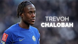 Trevoh Chalobah  Season Highlights  2024 [upl. by Eetnahs]